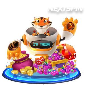RNG NS