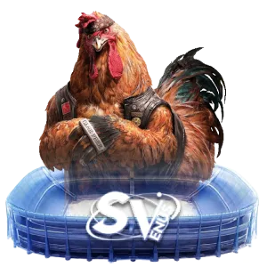 SPORTS SV png